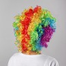 Карнавальный парик клоуна разноцветный